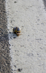 who goes slowly