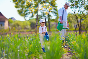 family watering plants in vegetable garden