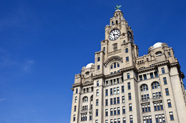 Fototapeta na wymiar Royal Liver Building in Liverpool