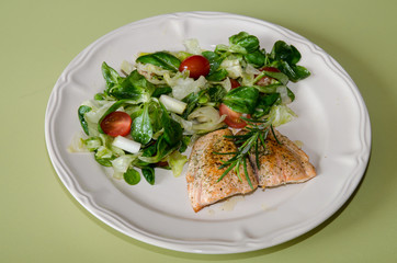 salmon food
