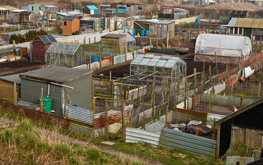 Community Gardens