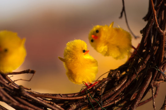 Yellow easter chickens dancing on some twigs