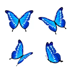 Stof per meter Vlinders Blauwe vlinders