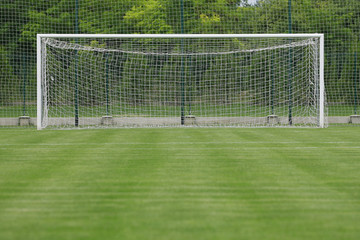 Goal at the stadium Soccer field with white lines - obrazy, fototapety, plakaty