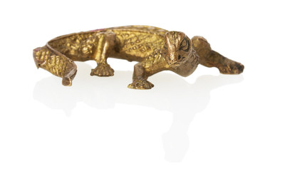 reptile brooch on the white background