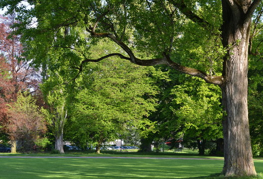 jardin public