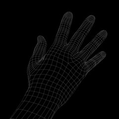 Human hand. Wire frame render