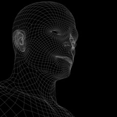 Human head. Wire frame render
