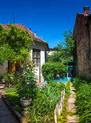 Summer garden