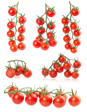 set of tomatoes on the white background