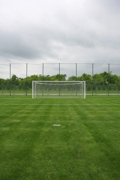 Fototapeta Goal at the stadium Soccer field with white lines