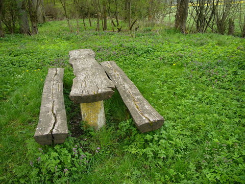 Rustikaler Holztisch mit Holzbank an einem Rastplatz am Wanderweg im Gr&uuml;nen im Krofdorfer Forst im Salzb&ouml;detal in Salzb&ouml;den bei Lollar in Hessen