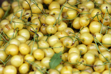 fresh white cherries on the street market