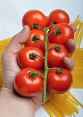 Tomatoes and spaghetti