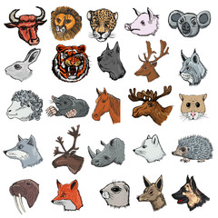 Obraz premium set of animals