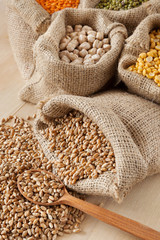 hessian bag with wheat and sack with grains