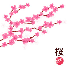 Japanese Cherry Blossom