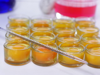 scientist injecting egg yolks