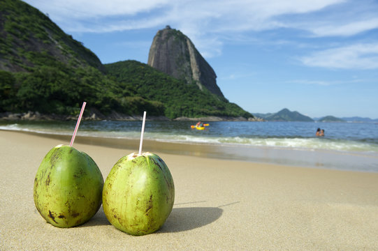 Brazilian Coco Gelado Coconuts Red Beach Rio de Janeiro