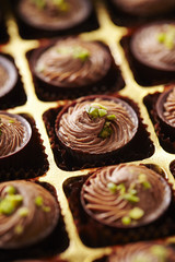 Chocolate