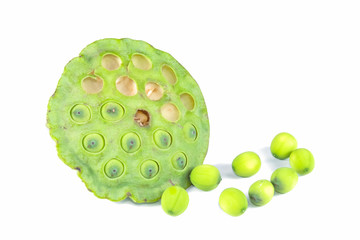 fresh lotus seed and pod isolated