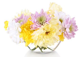 Beautiful chrysanthemum flowers in vase isolated on white