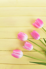 Beautiful tulips in bucket on table close-up