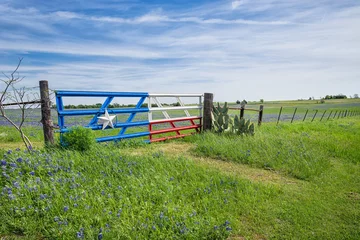 Afwasbaar Fotobehang Lente Texas bluebonnet veld en een hek met poort in de lente
