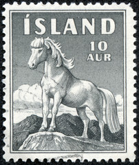 stamp printed in Iceland shows Icelandic Pony