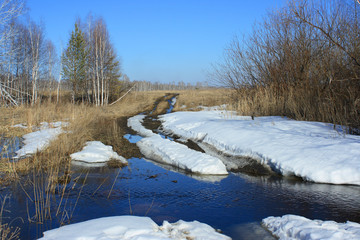 Early spring. Countryside in Central Russia