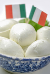 Italian mozzarella