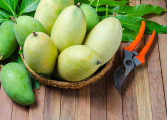 mango on a wooden background
