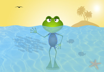 Frog in the sea in summertime