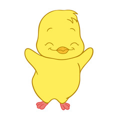 Cute little chicken vector