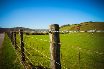 Fence in the country