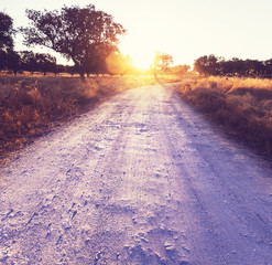 Road in field © Galyna Andrushko