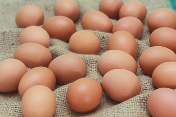 Chicken brown eggs