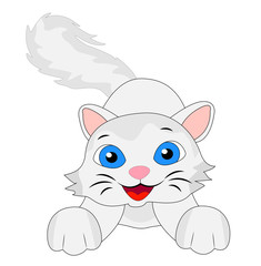 Fototapeta premium merry kitten with a fluffy tail