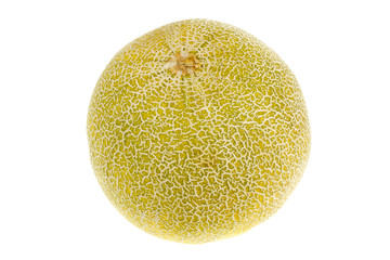 One ripe melon
