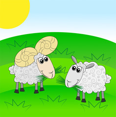 merry ram and sheep on a green lawn