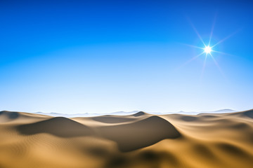 desert sun