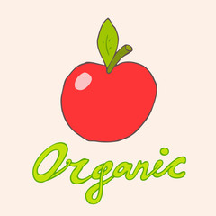 organic fruits (apple) vector illustration, hand drawn
