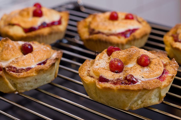 cakes with cranberries