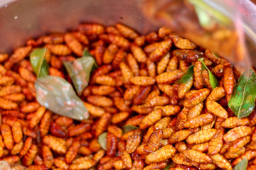 fried silk worms in the market