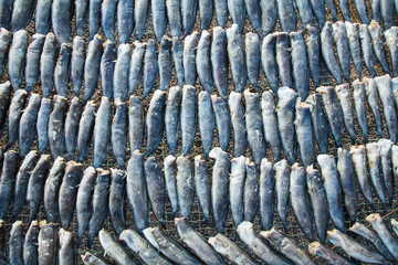 Dried Fish