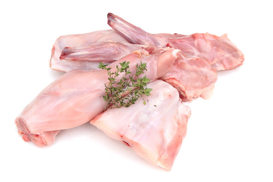 lapin