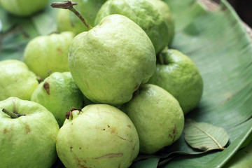 Guava fruit in the market
