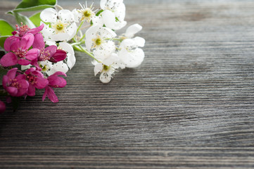 Fototapeta na wymiar Blossom on a wooden background