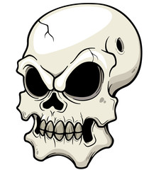 Vector illustration of Skull
