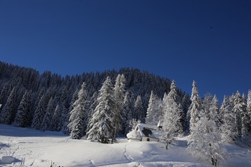 Fototapeta na wymiar Passo Cereda Dolomiti